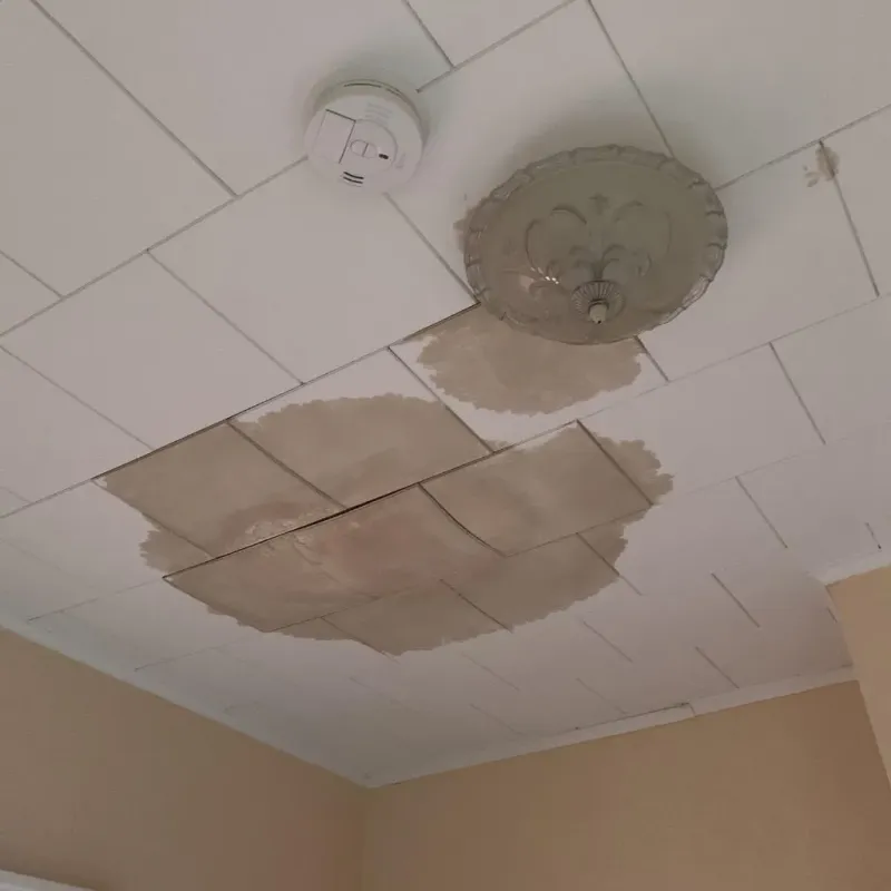 Ceiling Water Damage Repair in Stuart, IA