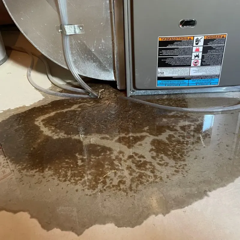 Pipe Burst and Leak Restoration in Stuart, IA