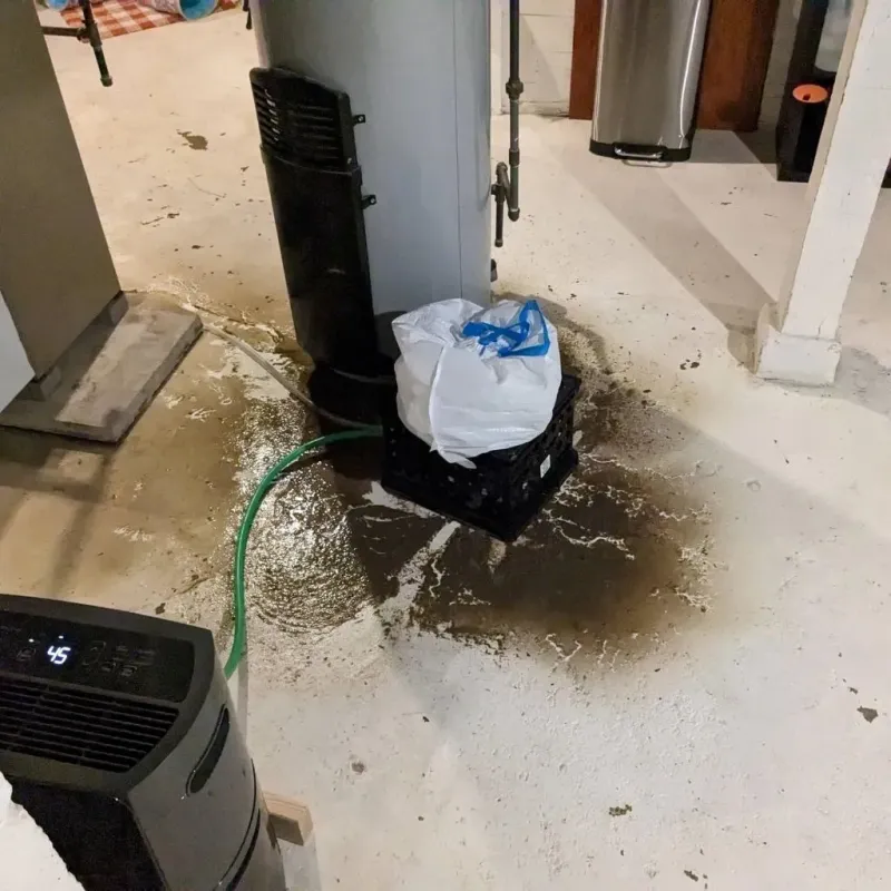 Sewage Backup Cleanup Service in Stuart, IA